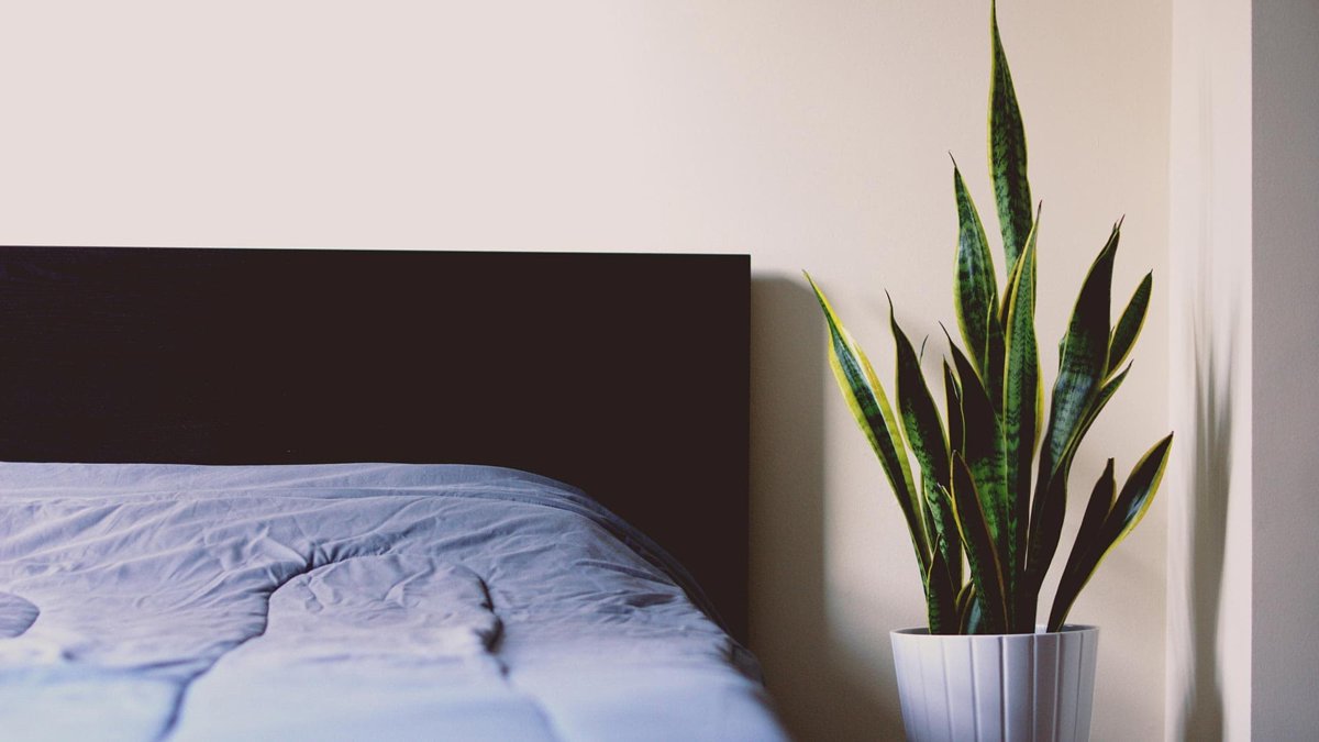 10 decorating tips to create the ultimate Zen bedroom