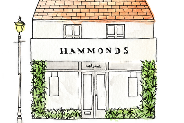 Fitted Furniture Showroom Illustration